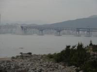 曇っている海に架かる広安大橋